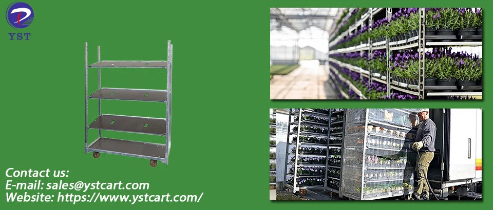 Greenhouse Nursery Trolleys-12 Greenhouse Nursery Trolleys-12