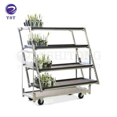 Tanskalainen vaununäyttö