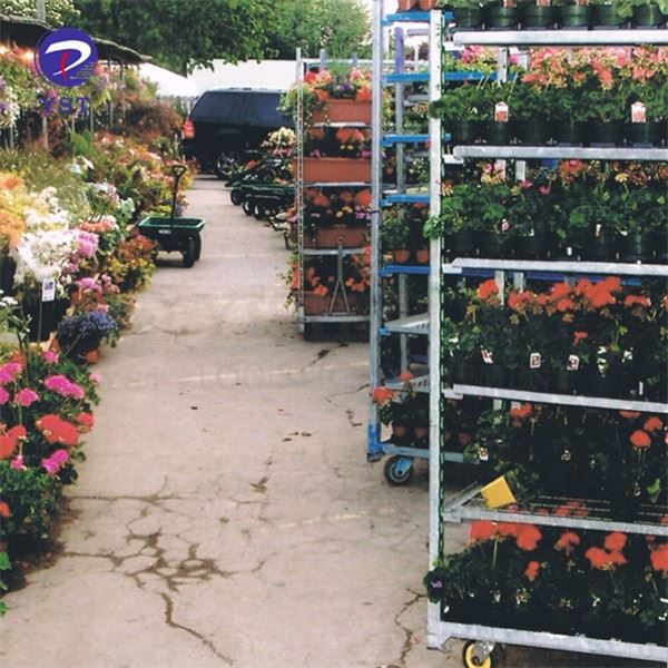 Shelf Wire Garden Dutch Cart Flower Trolley