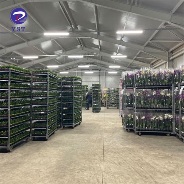 Danish Trolley For Greenhouse